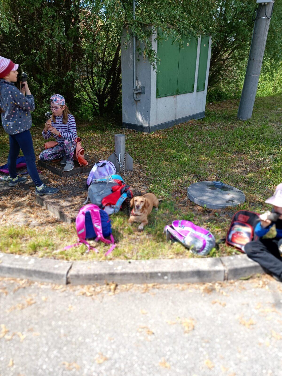 TLAPKY - České  Libchavy - 72