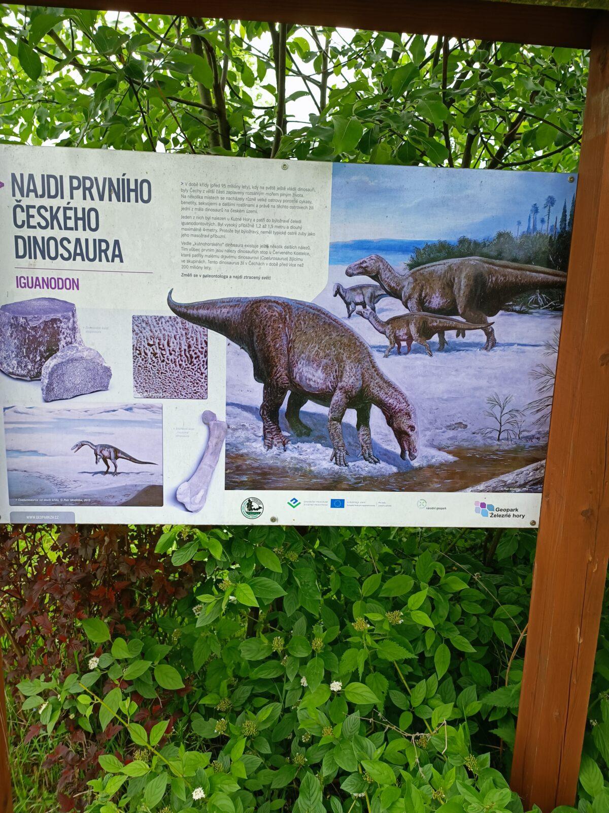 Družinka v Pasíčkách - 10