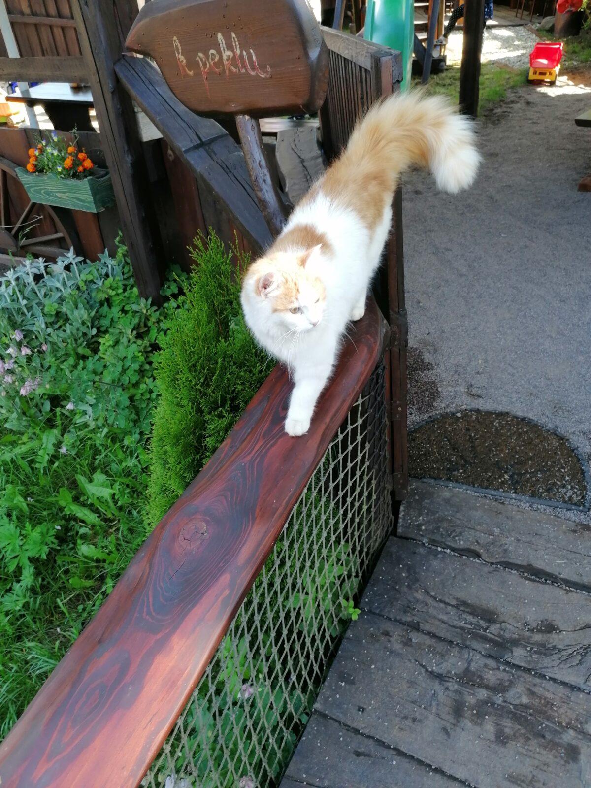 Dětský den :-) - 58