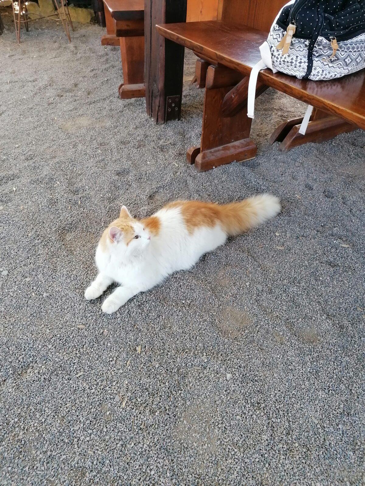 Dětský den :-) - 70