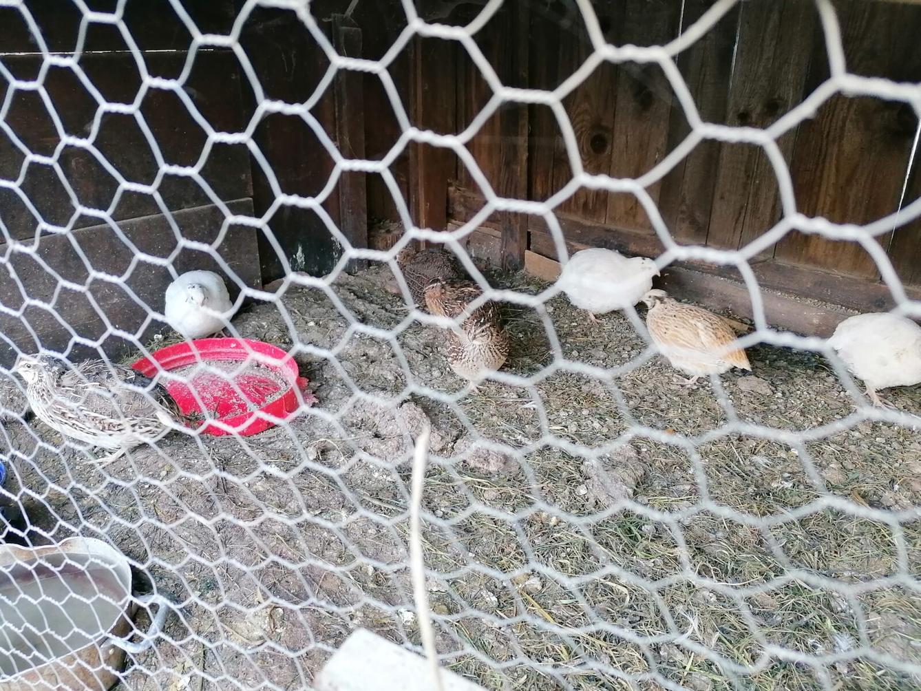 Dětský den :-) - 75