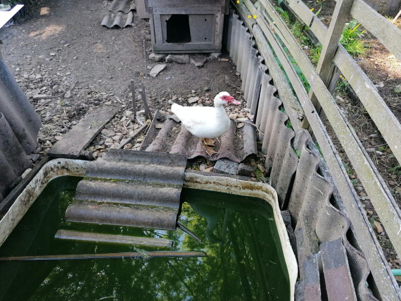 Dětský den :-) - 76