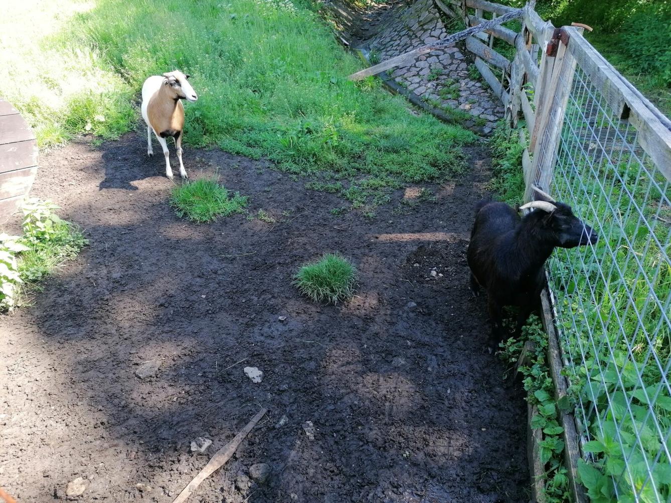 Dětský den :-) - 83