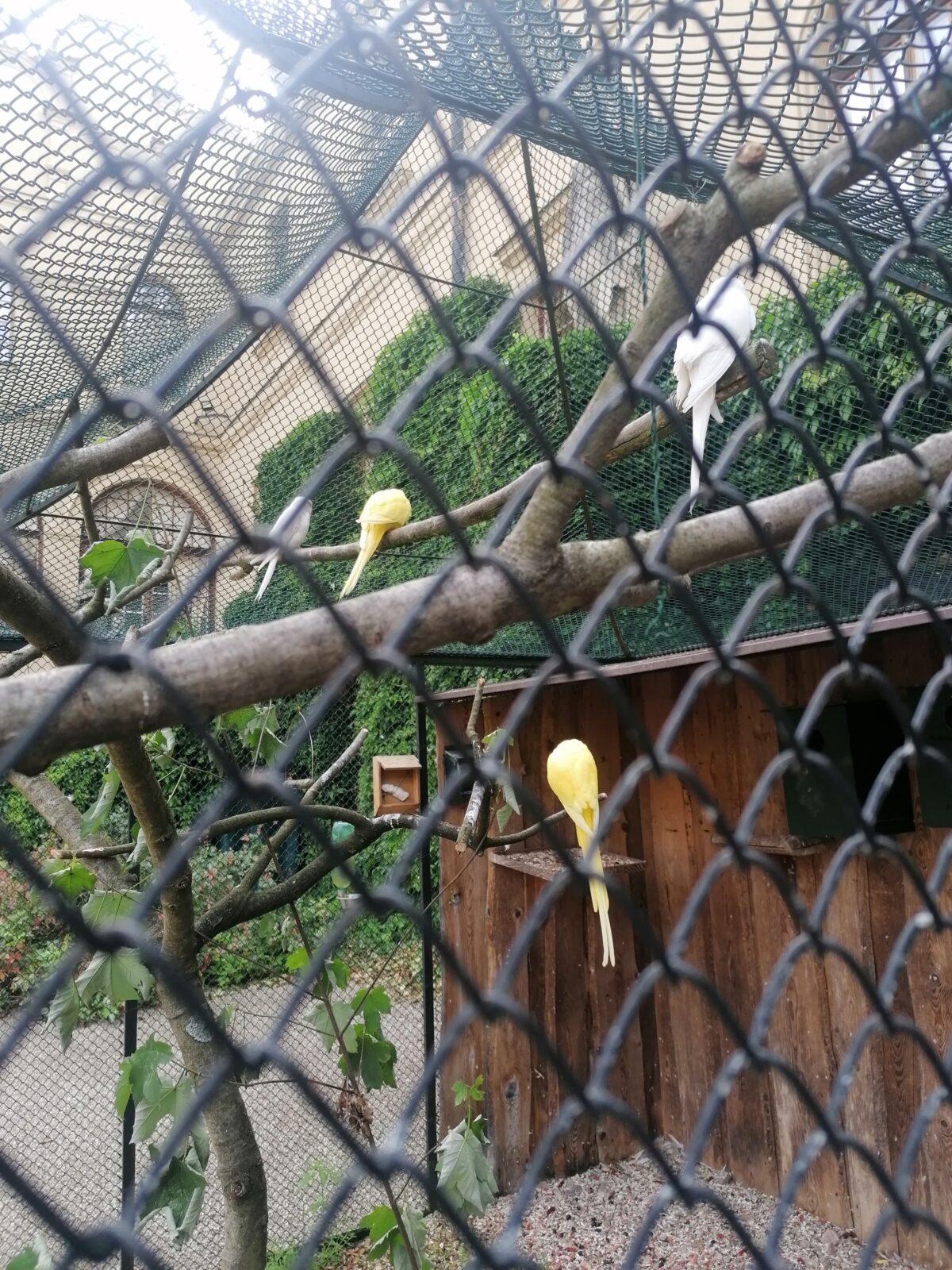 Výlet do Častolovic I. :-) - 31