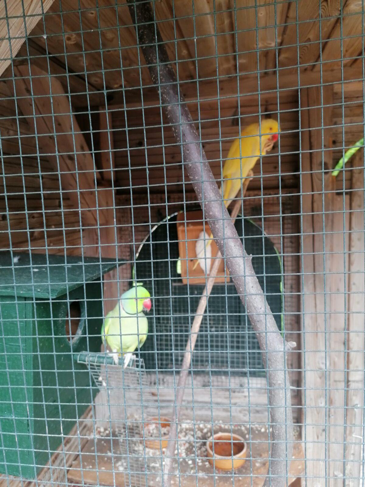 Výlet do Častolovic I. :-) - 34