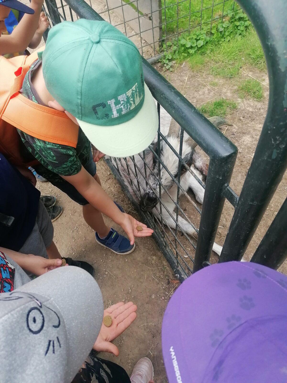 Výlet do Častolovic I. :-) - 36