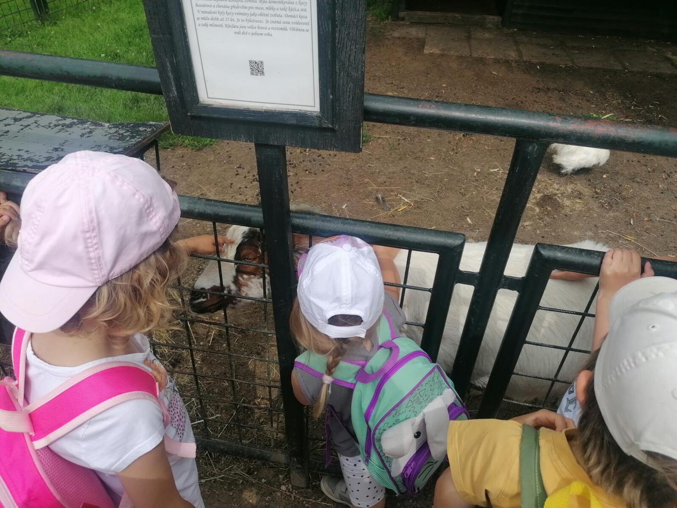 Výlet do Častolovic I. :-) - 39