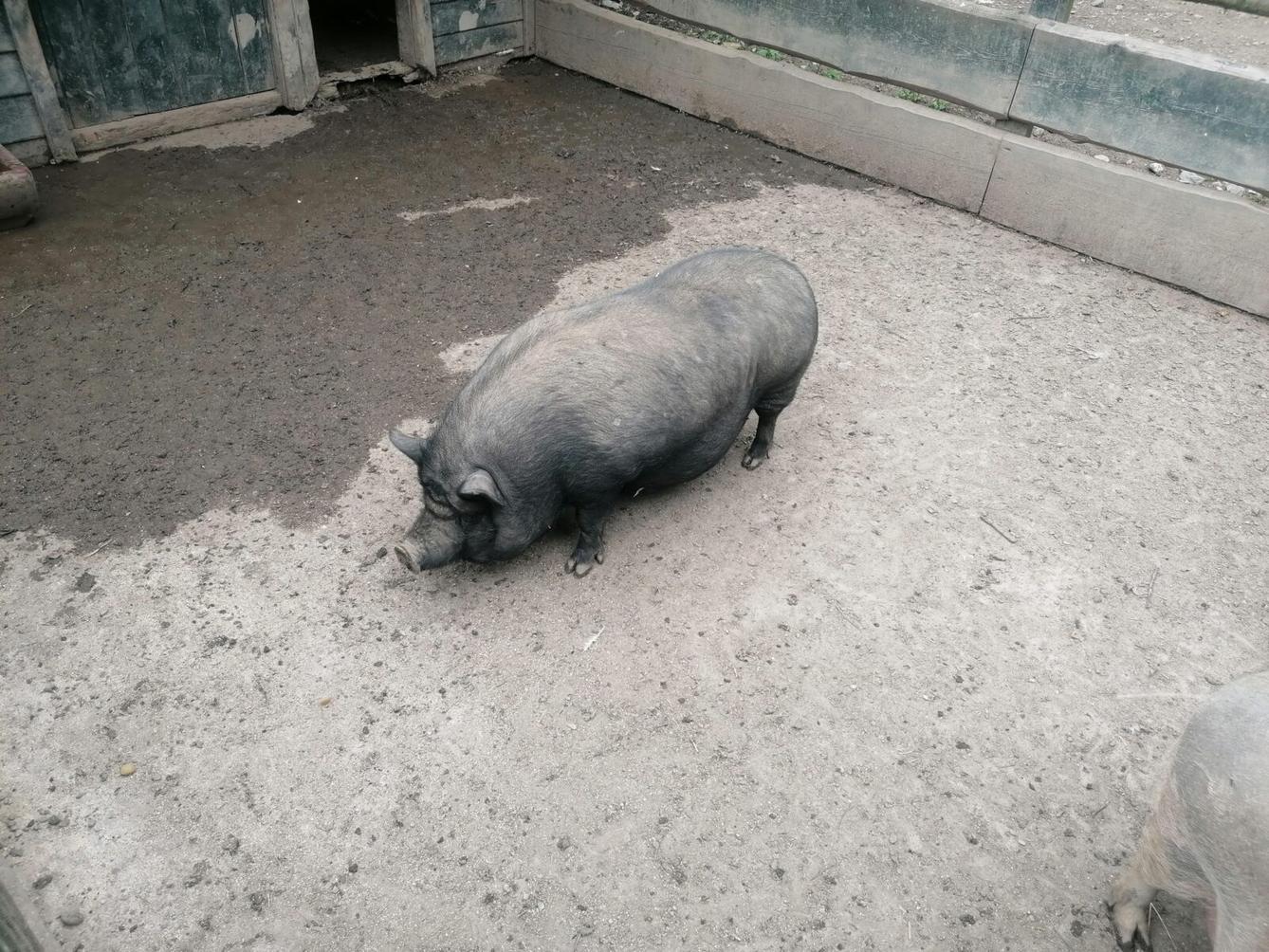 Výlet do Častolovic I. :-) - 40