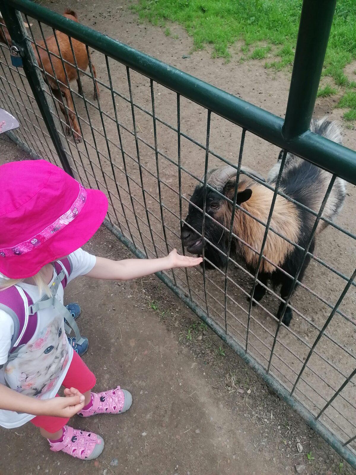 Výlet do Častolovic I. :-) - 45