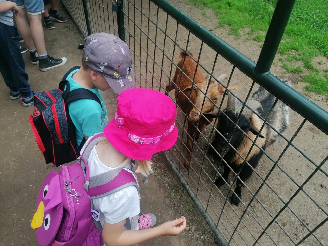 Výlet do Častolovic I. :-) - 46