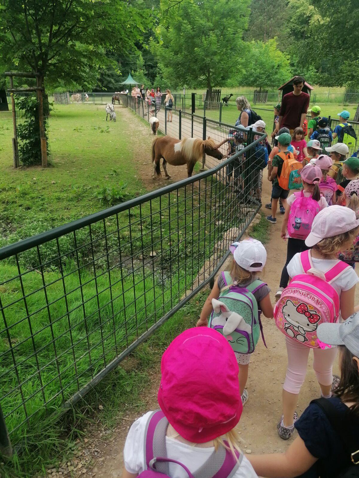 Výlet do Častolovic I. :-) - 49