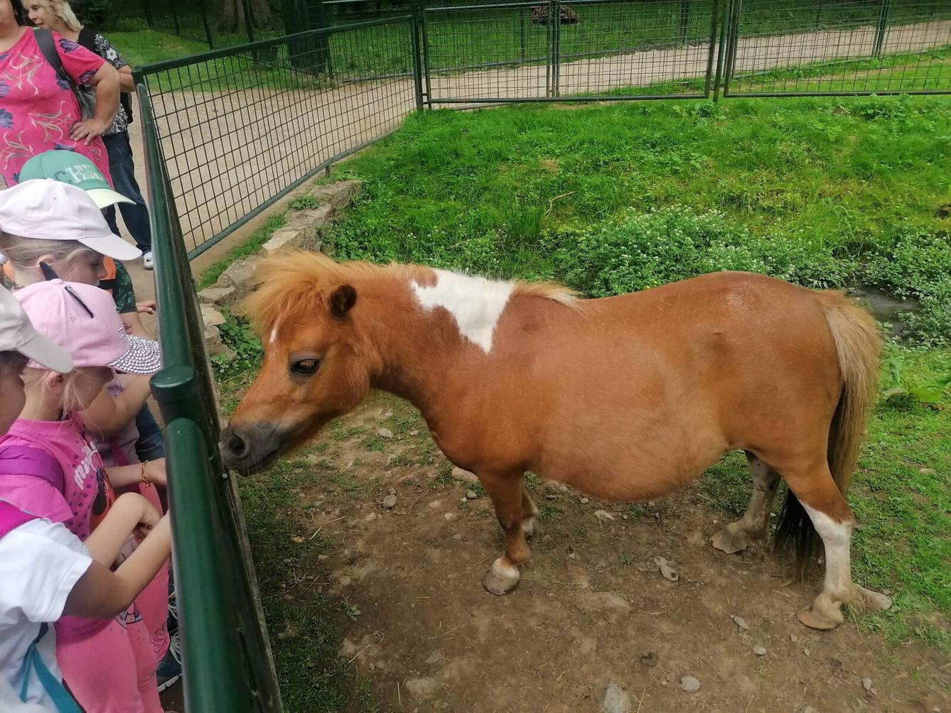 Výlet do Častolovic I. :-) - 50