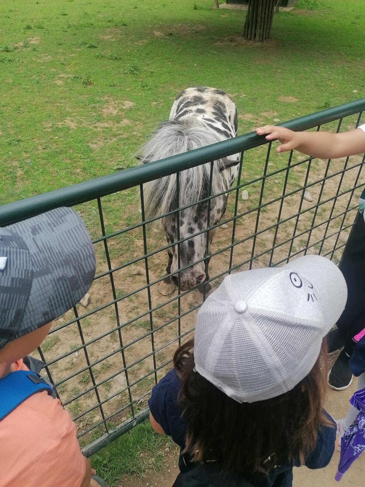 Výlet do Častolovic I. :-) - 52