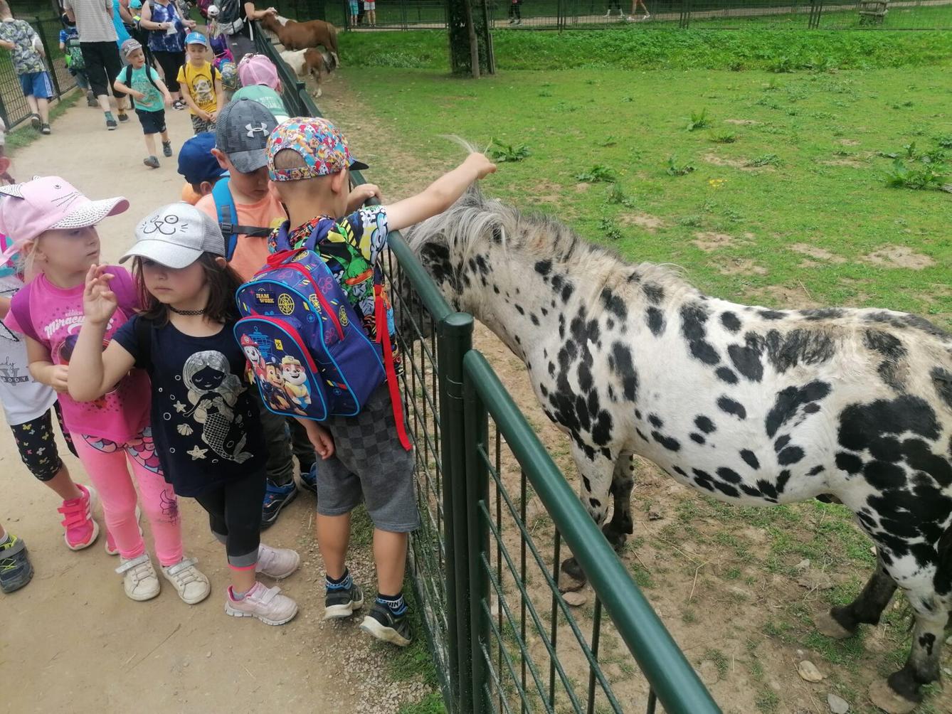 Výlet do Častolovic I. :-) - 53