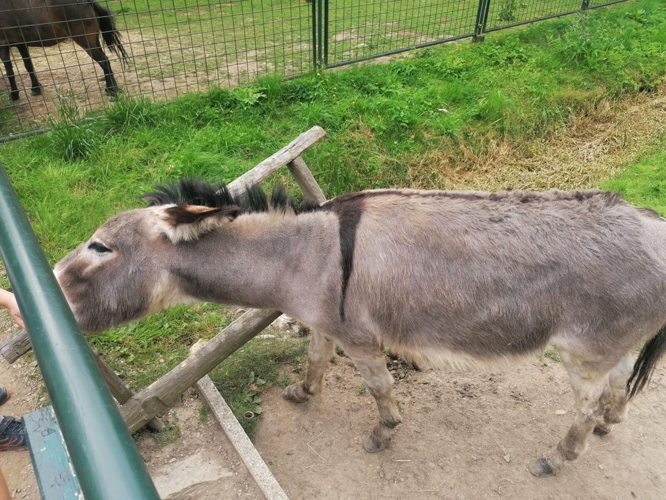 Výlet do Častolovic I. :-) - 54