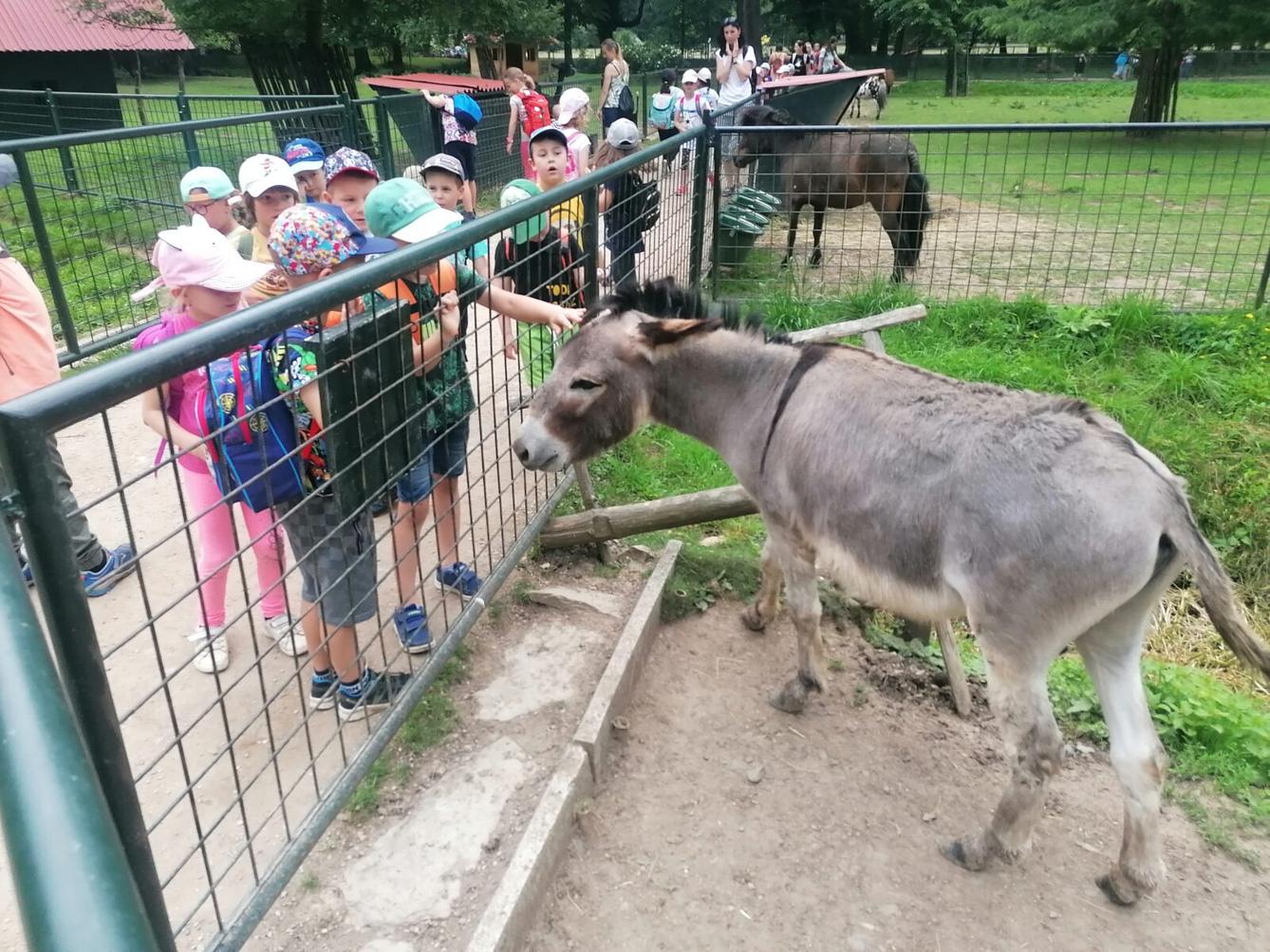 Výlet do Častolovic I. :-) - 55