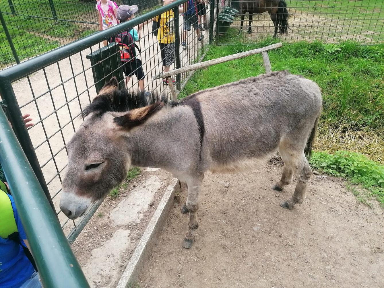 Výlet do Častolovic I. :-) - 57