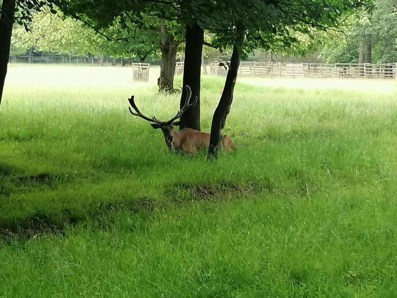 Výlet do Častolovic I. :-) - 60