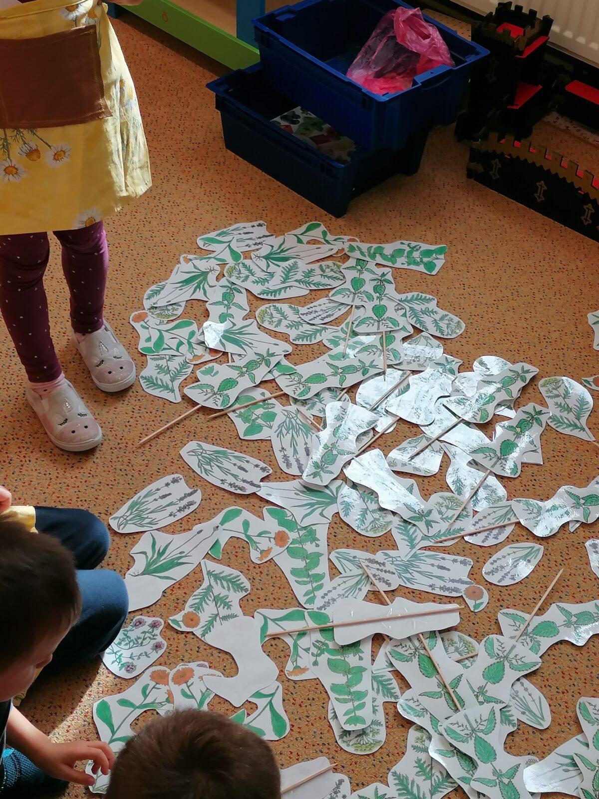 Vzdělávací program "bylinky" :-) - 8