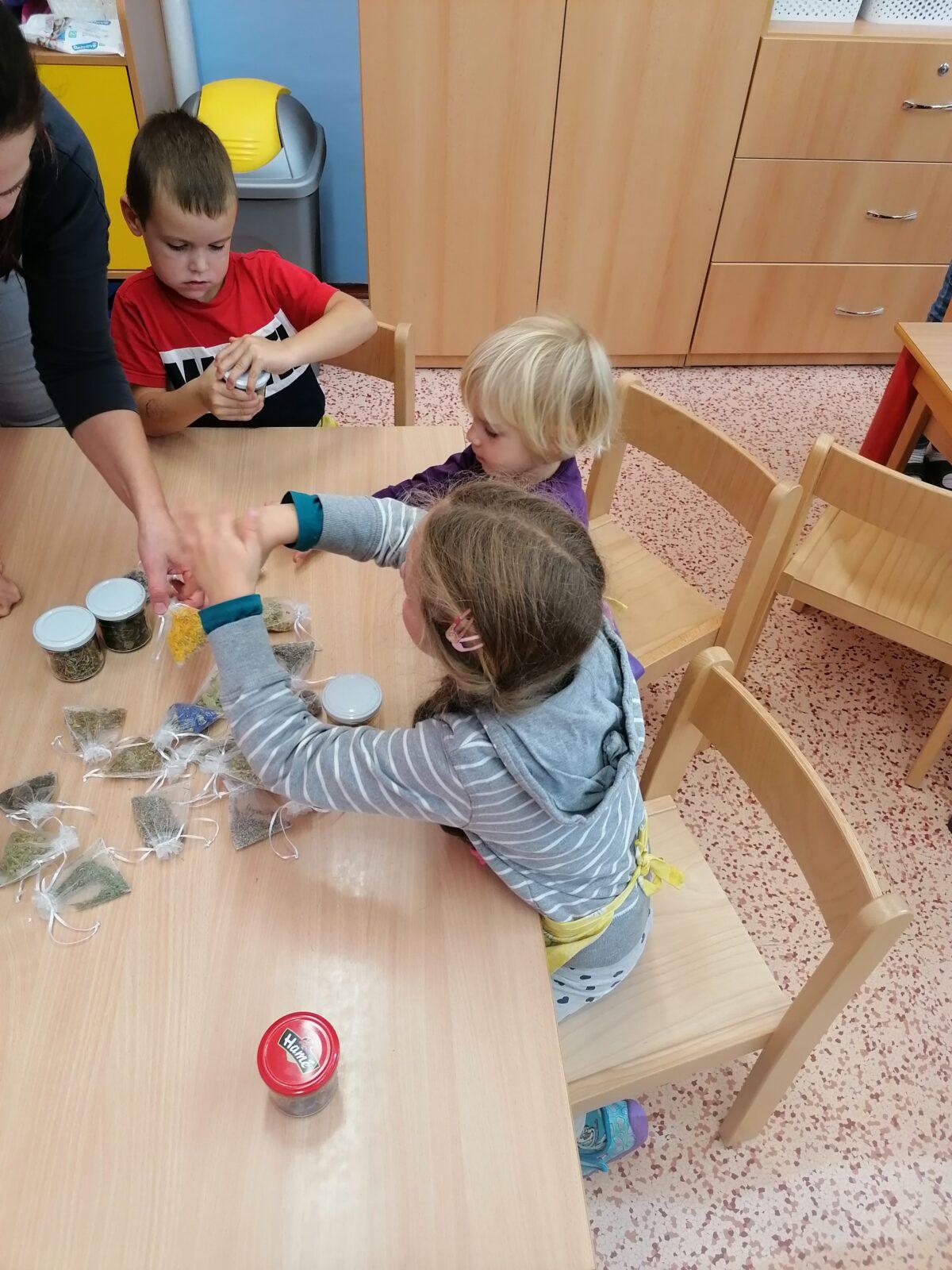 Vzdělávací program "bylinky" :-) - 41