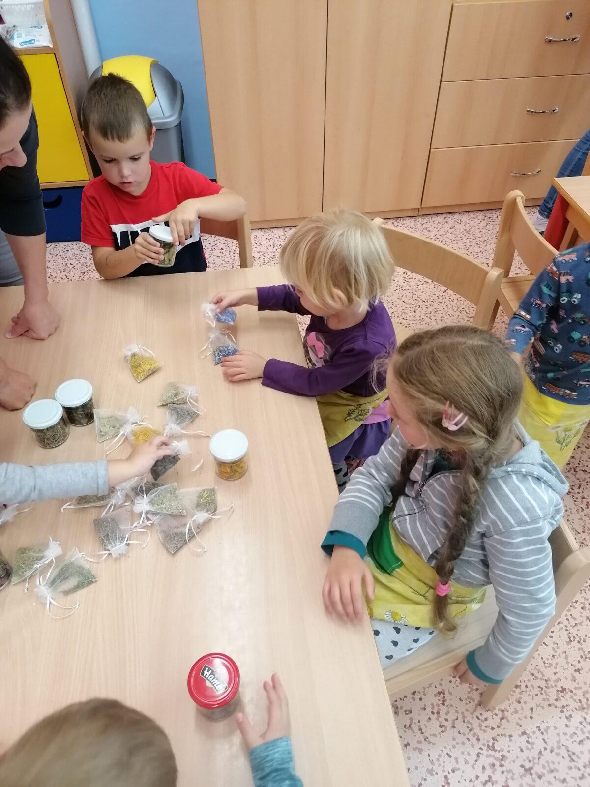 Vzdělávací program "bylinky" :-) - 42