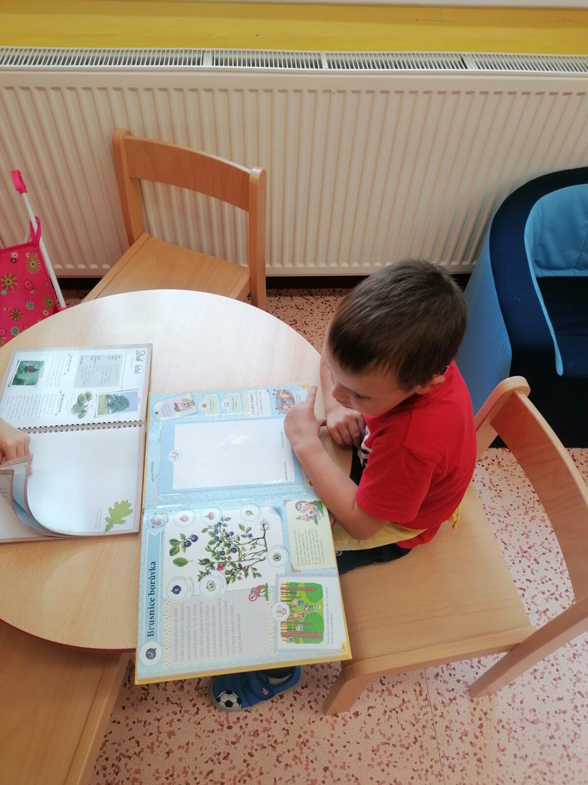 Vzdělávací program "bylinky" :-) - 50