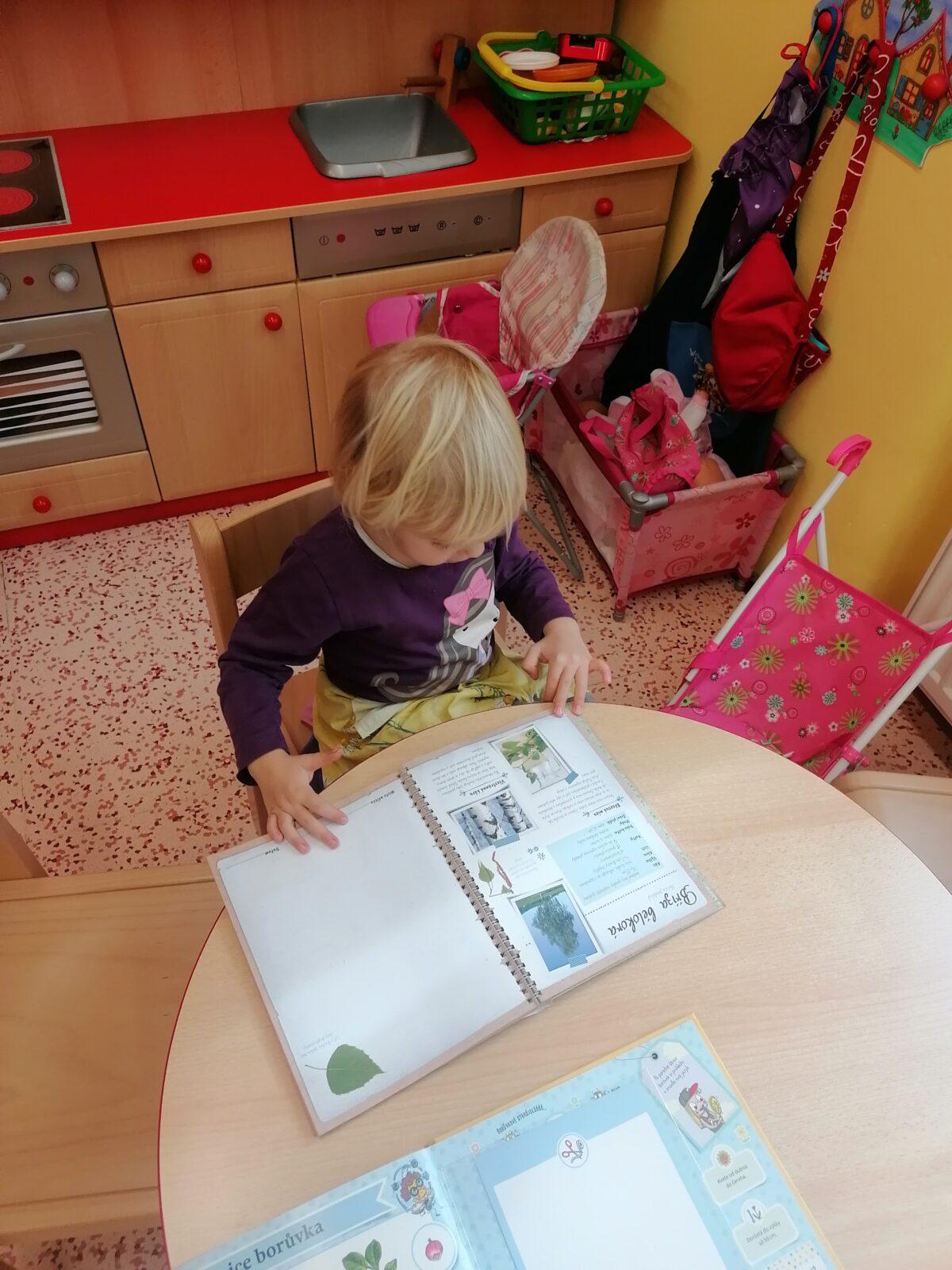 Vzdělávací program "bylinky" :-) - 51