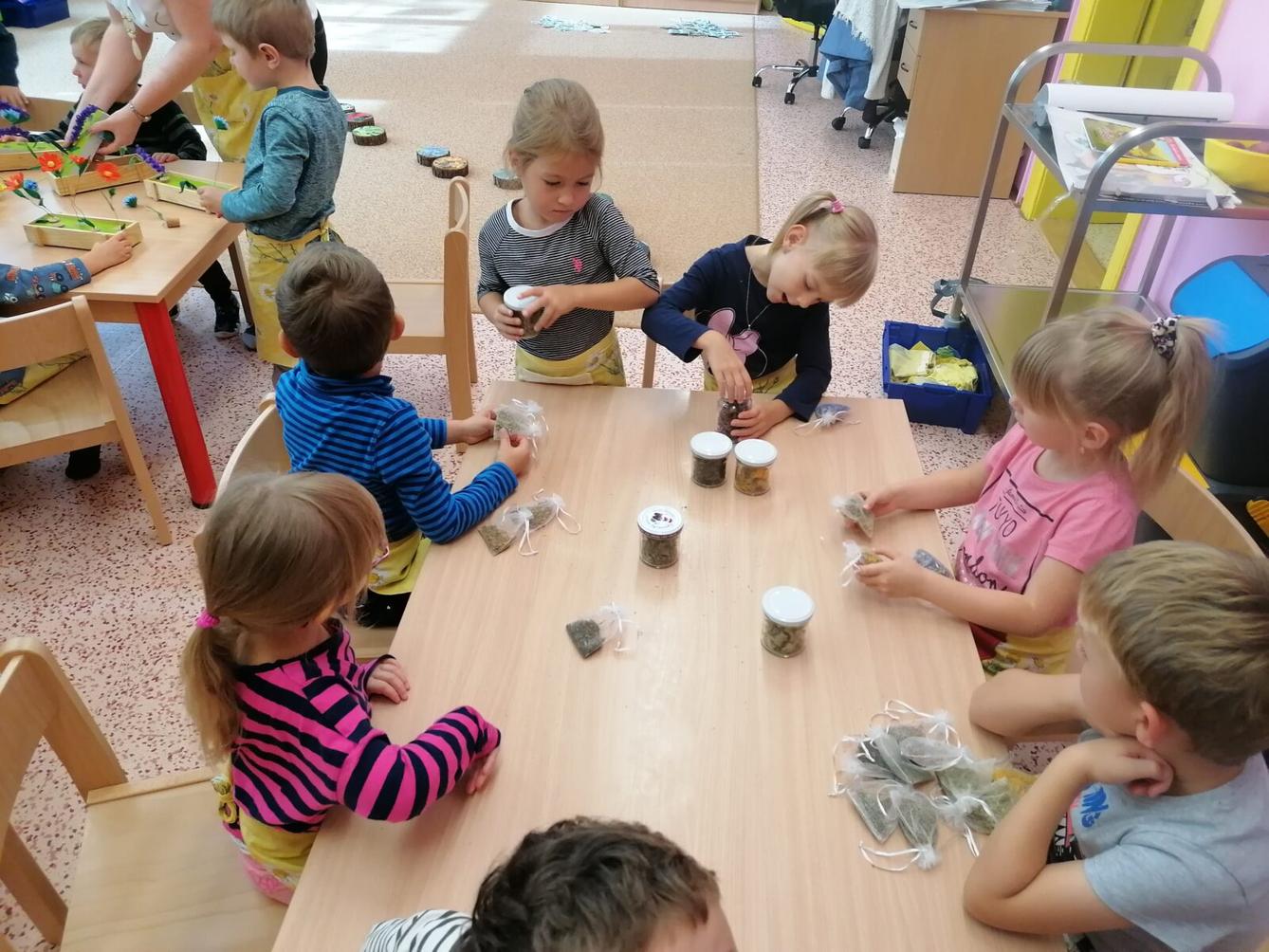 Vzdělávací program "bylinky" :-) - 60