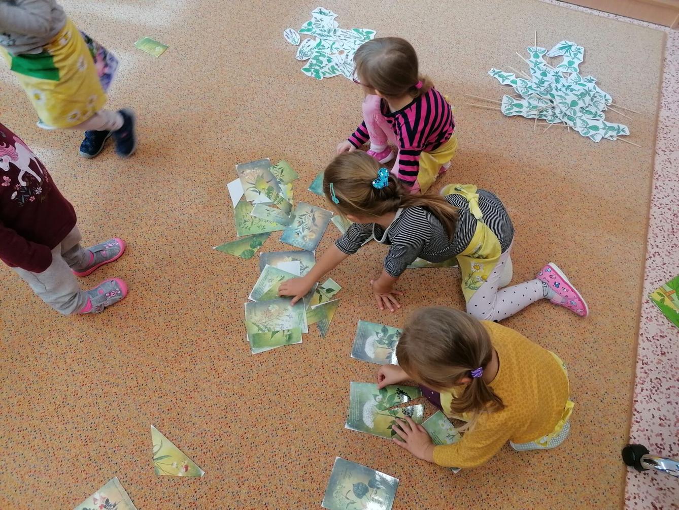 Vzdělávací program "bylinky" :-) - 64