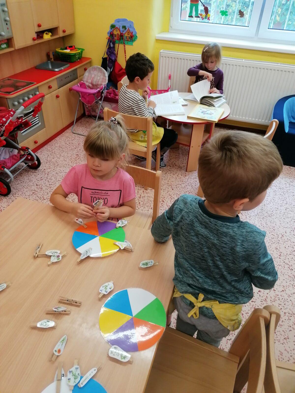 Vzdělávací program "bylinky" :-) - 75