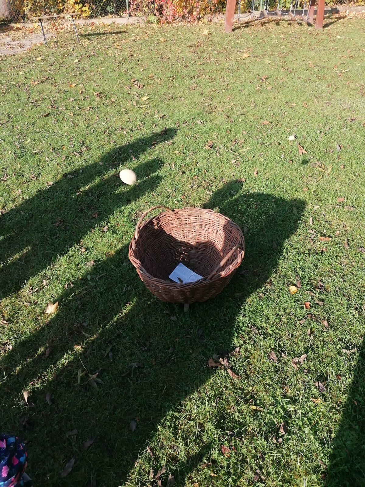 "Bramboriáda" :-) - 39