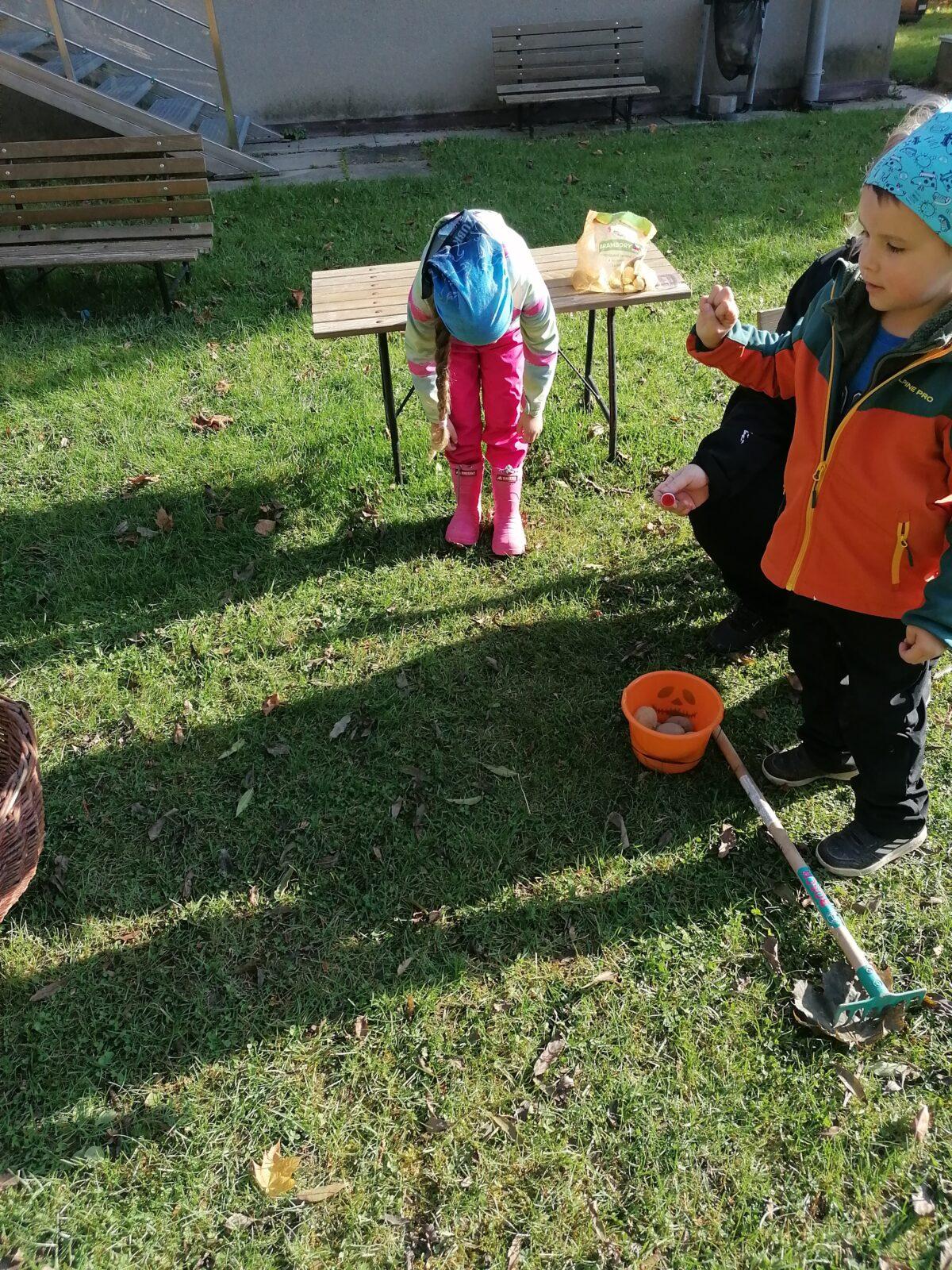 "Bramboriáda" :-) - 52