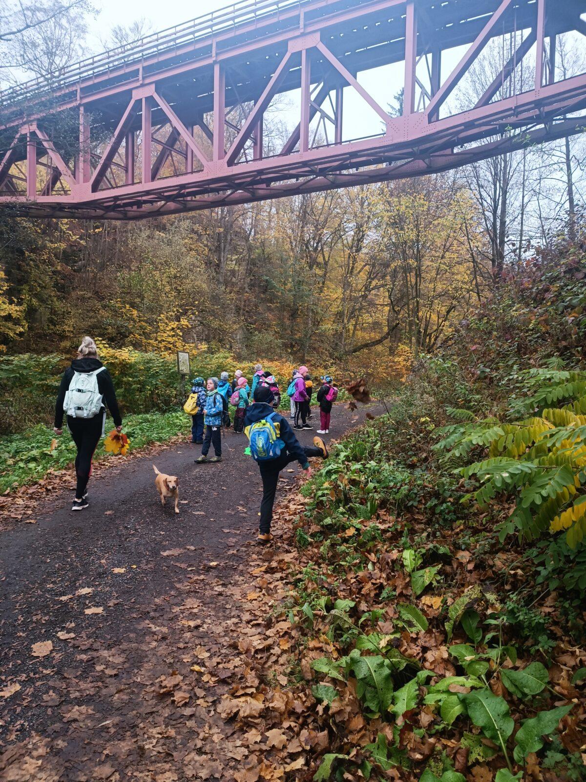 TLAPKY - říjen - 12