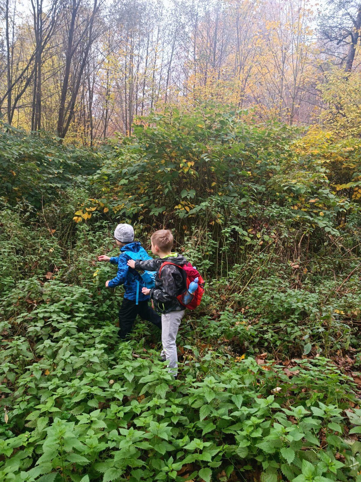 TLAPKY - říjen - 46