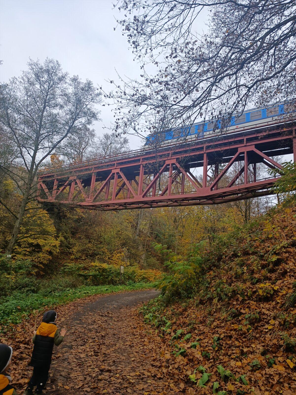 TLAPKY - říjen - 48