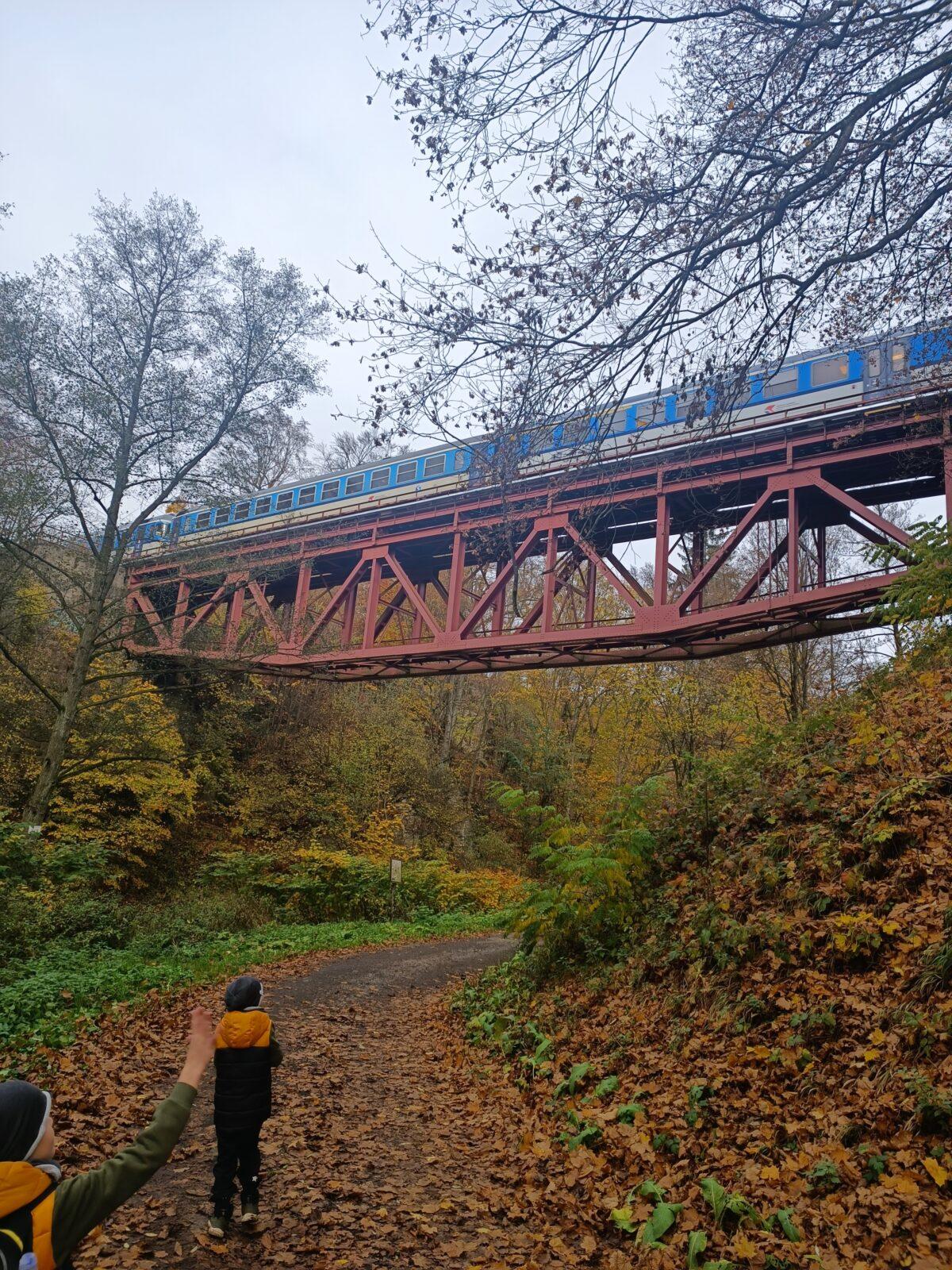 TLAPKY - říjen - 50