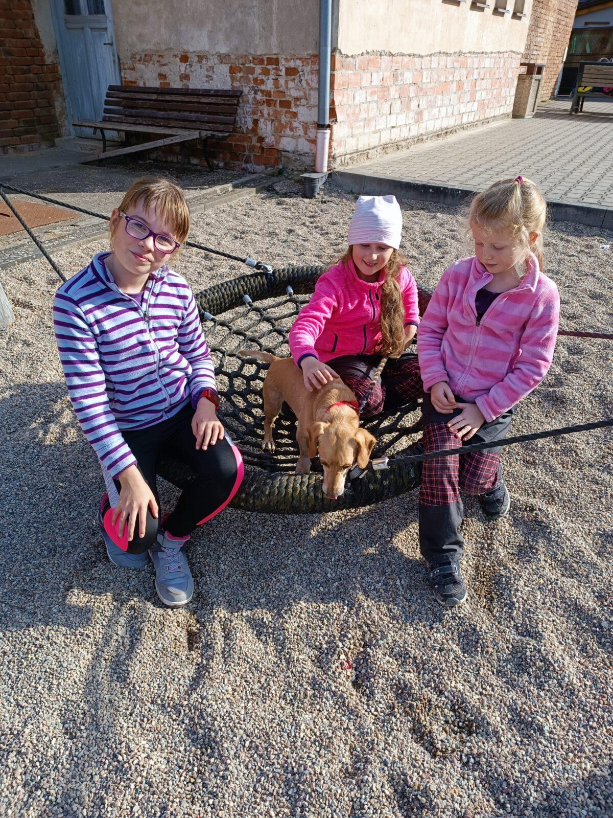 TLAPKY - říjen - 93