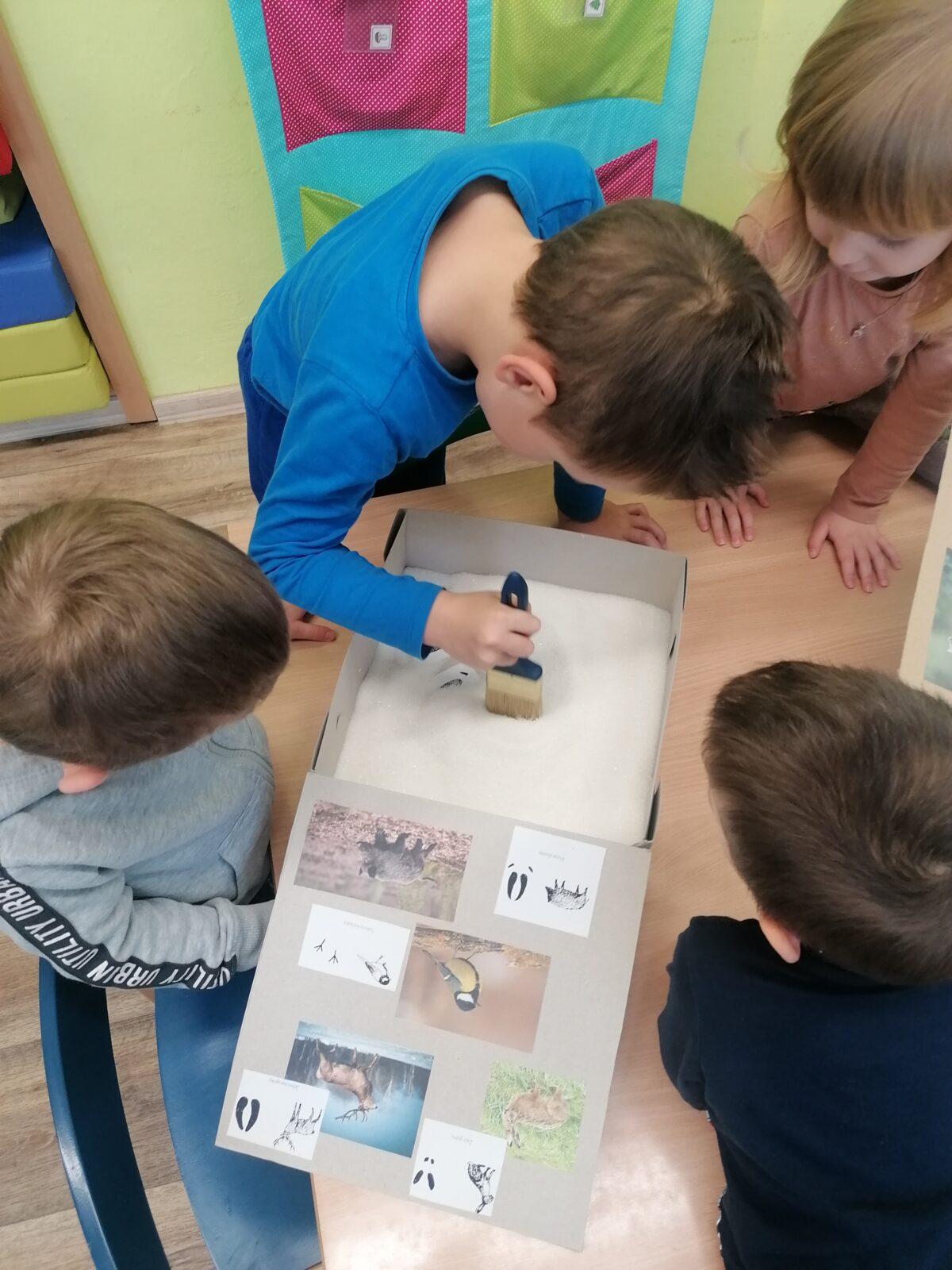 "Poznáváme zvířátka podle stop" :-) - 3