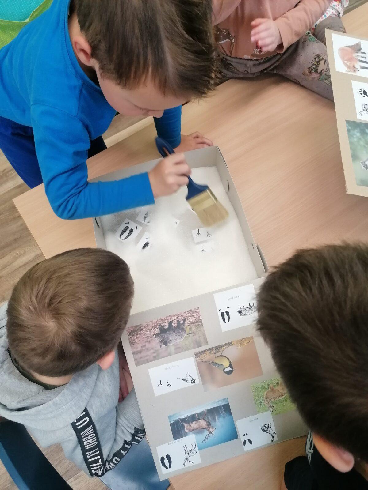 "Poznáváme zvířátka podle stop" :-) - 5