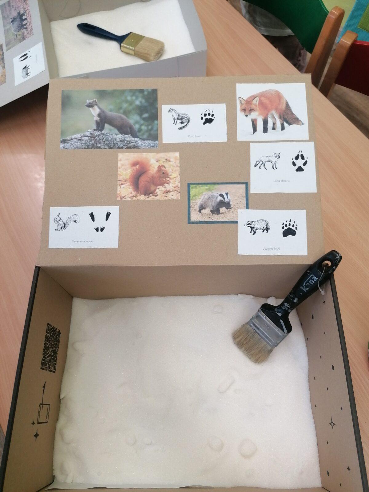 "Poznáváme zvířátka podle stop" :-) - 6