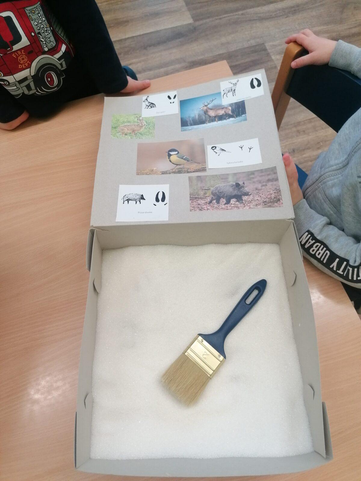 "Poznáváme zvířátka podle stop" :-) - 7