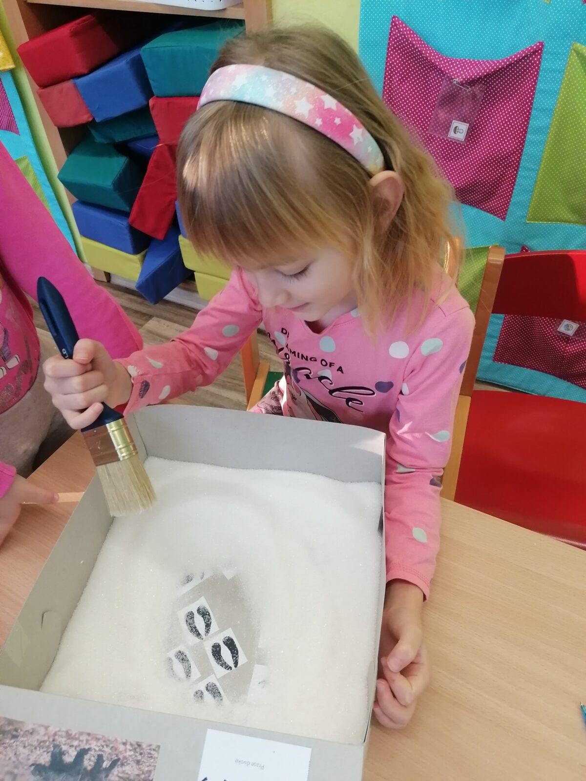 "Poznáváme zvířátka podle stop" :-) - 14