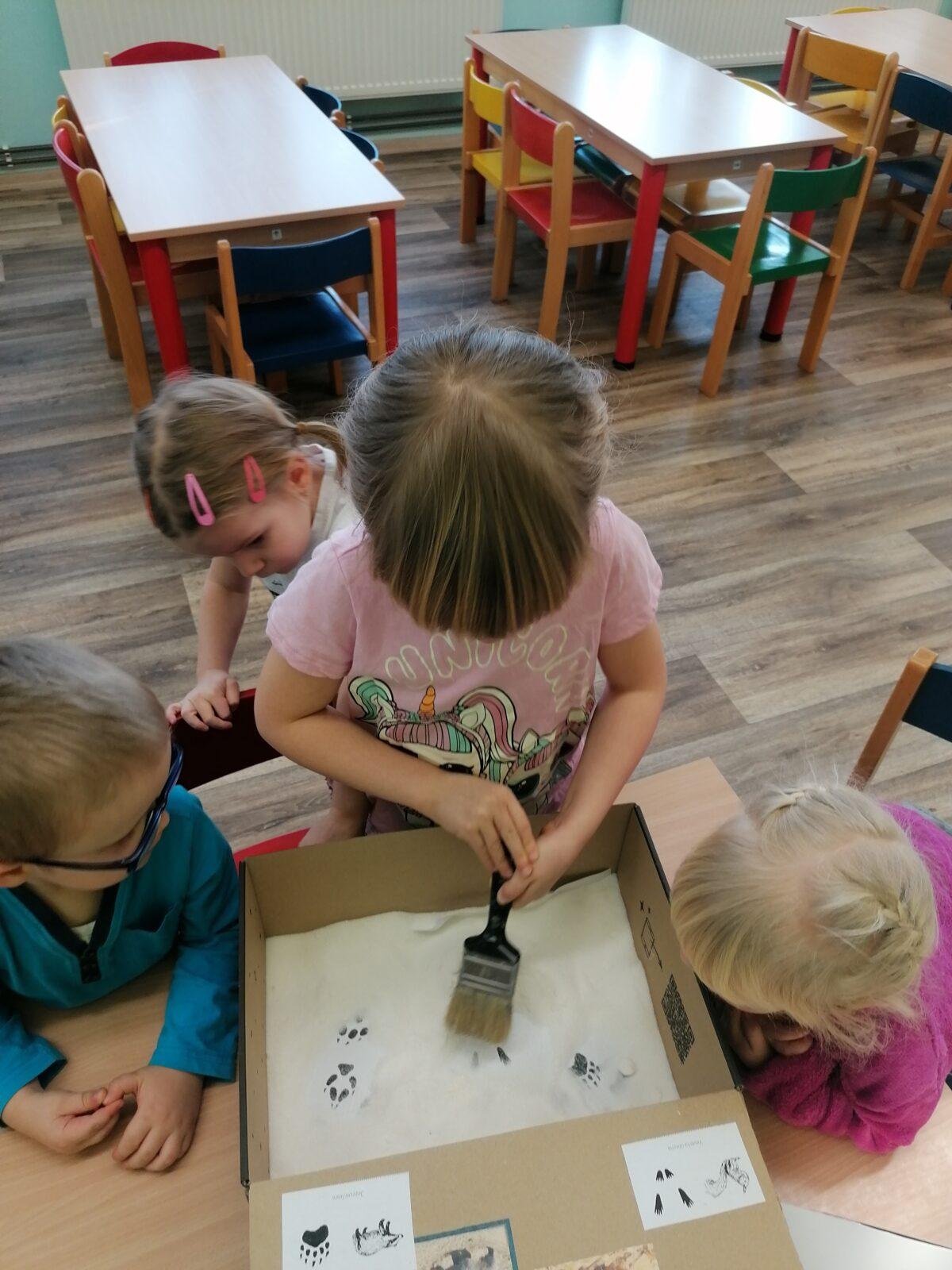 "Poznáváme zvířátka podle stop" :-) - 16