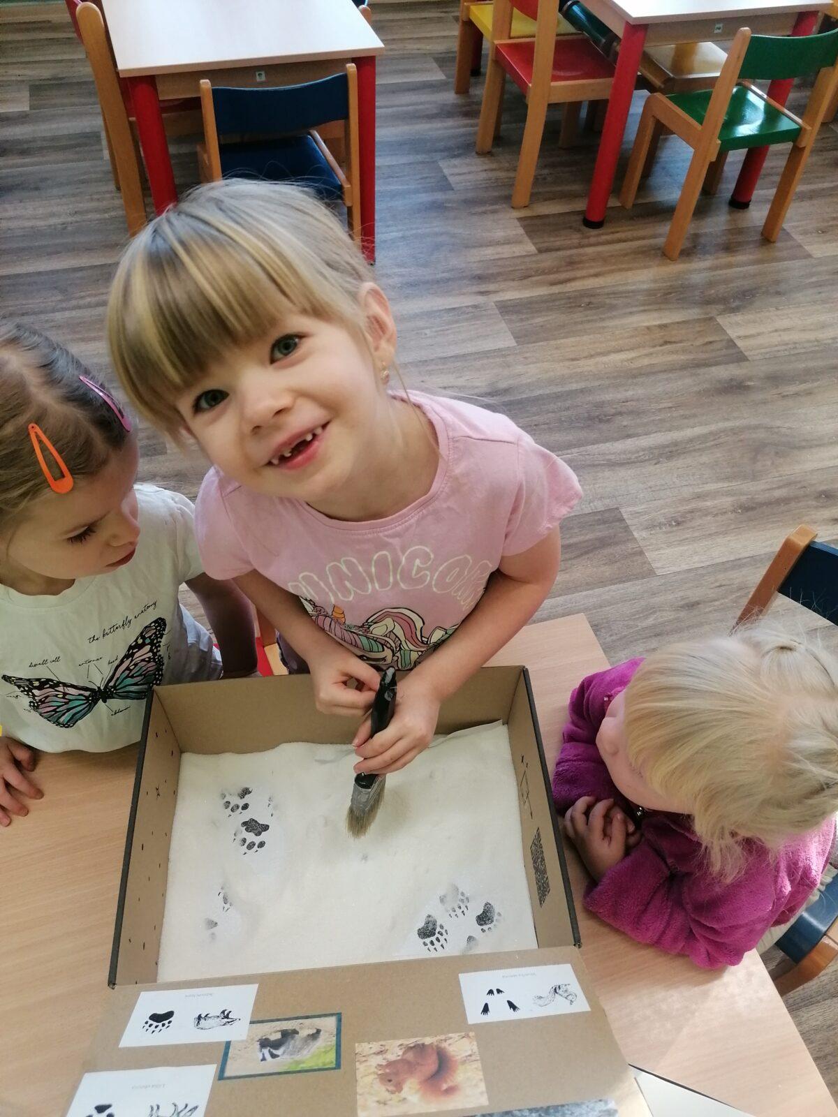 "Poznáváme zvířátka podle stop" :-) - 17