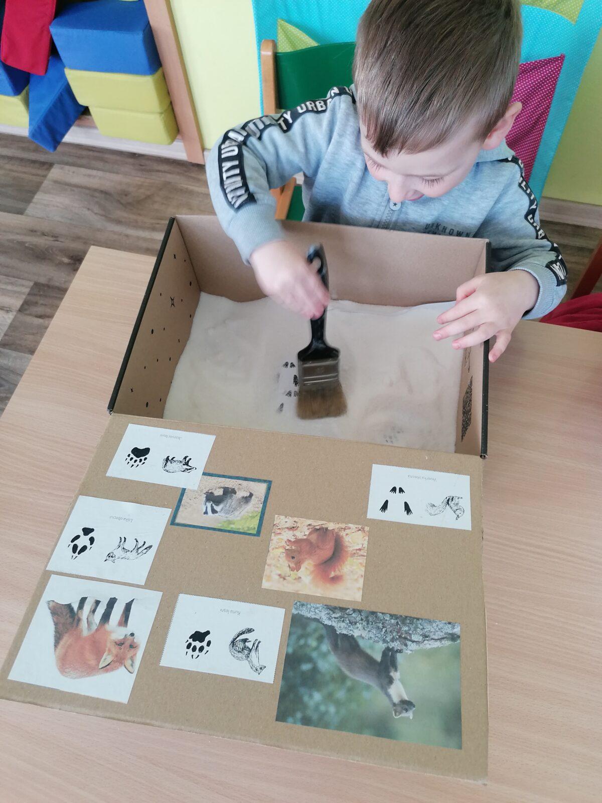 "Poznáváme zvířátka podle stop" :-) - 23