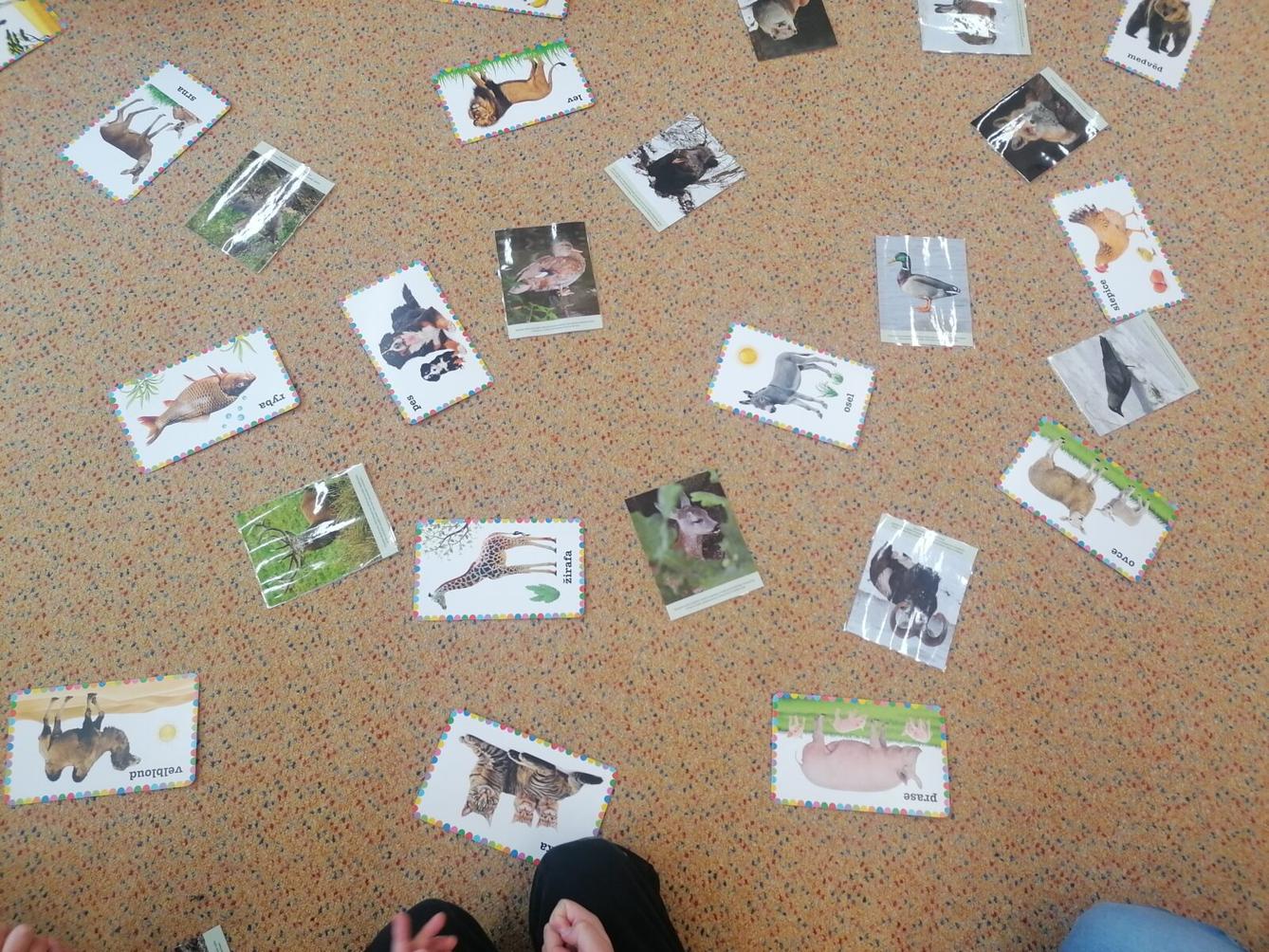 "Máme rádi zvířata" :-) - 13