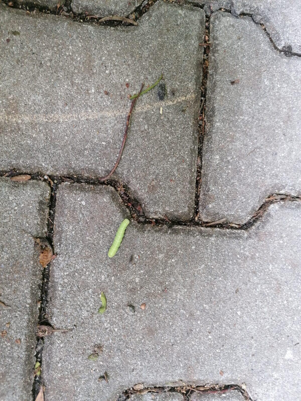 Výletujeme :-) - 146