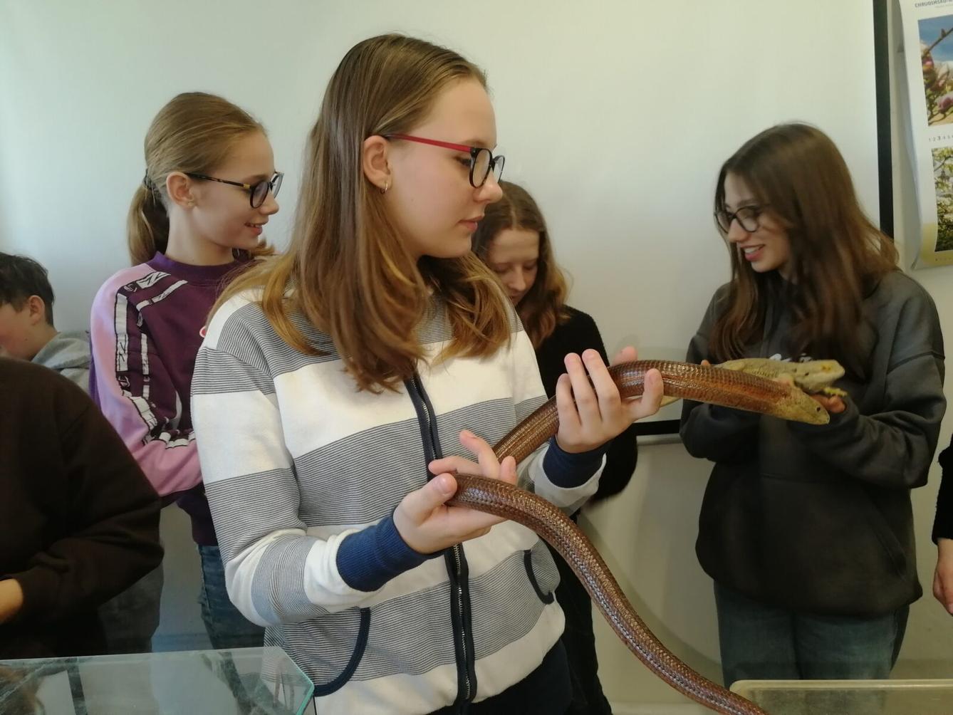 Exotická zvířata - přednáška - 13