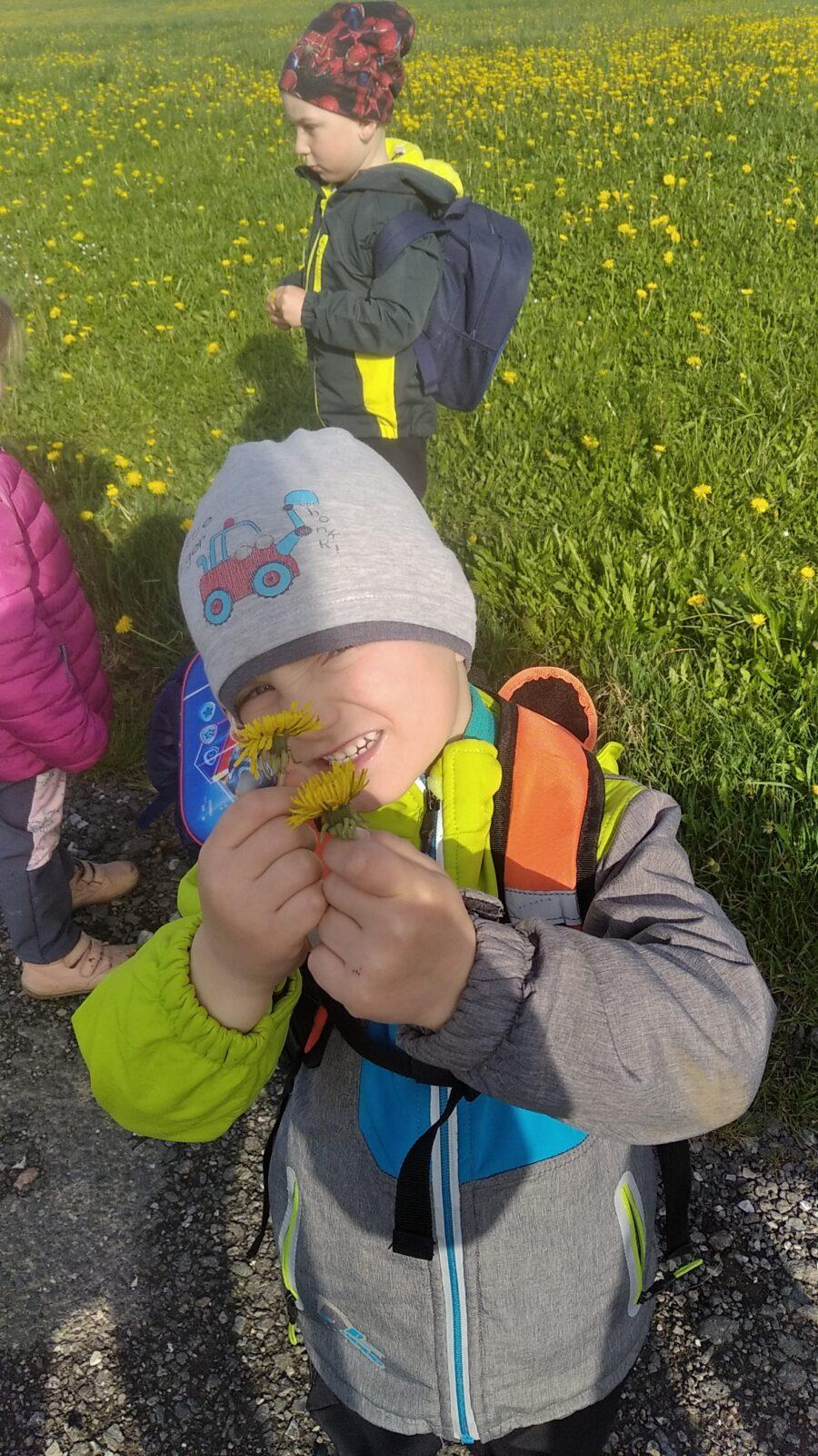 broučci: Co si brouká jarní louka... - 20