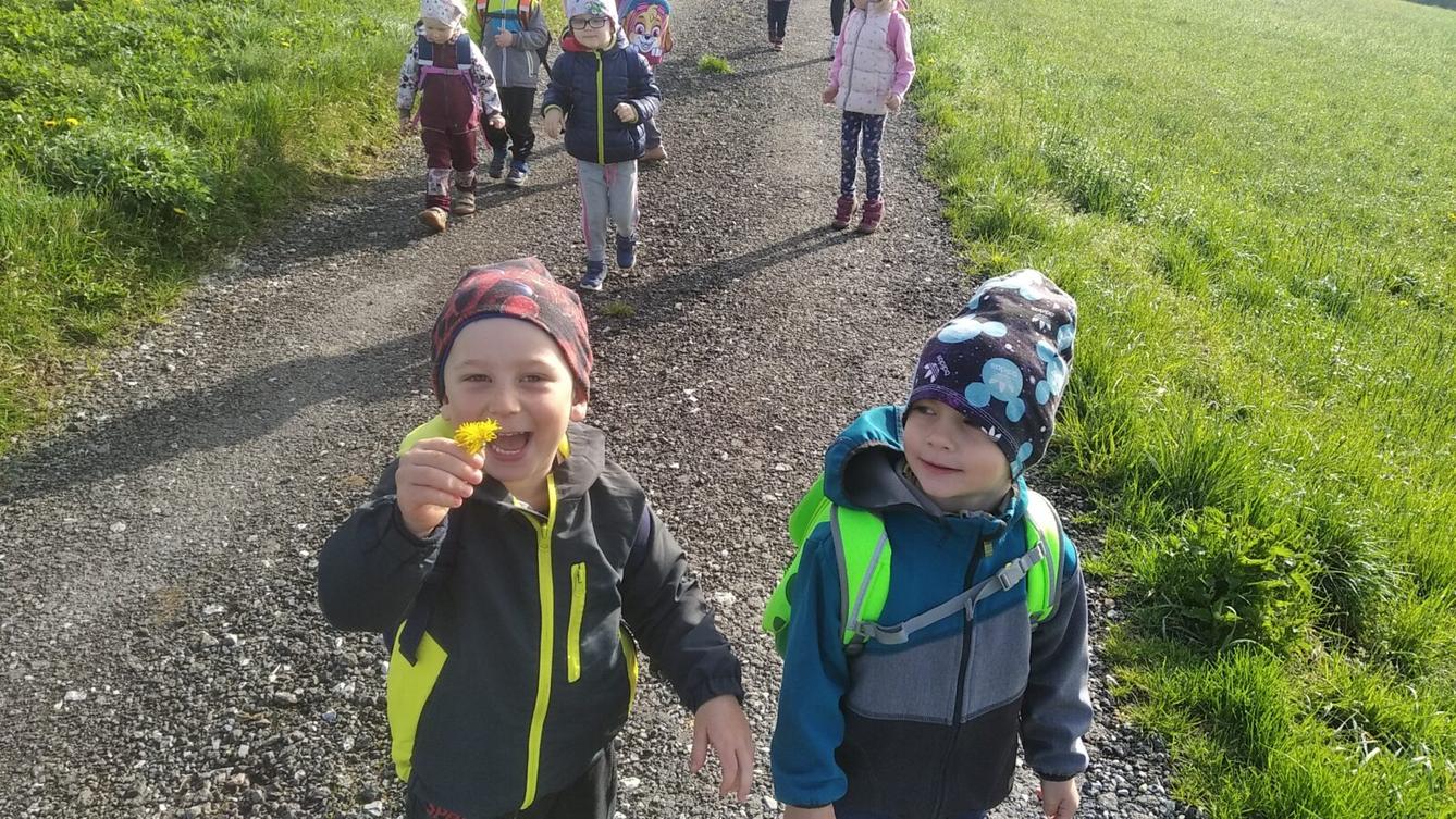 broučci: Co si brouká jarní louka... - 21